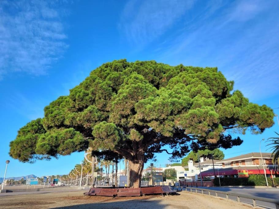 Апартаменты Cambrils Dulces Suenos Экстерьер фото